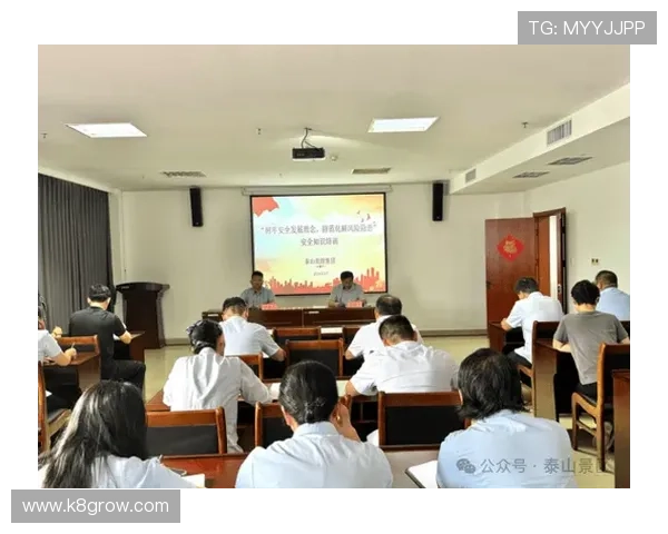 凯发体育集团网址查询的安全性分析与防范措施