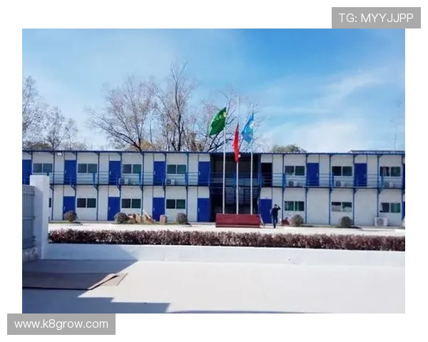 K8凯发平台网页版全面解析操作流程与使用技巧指南