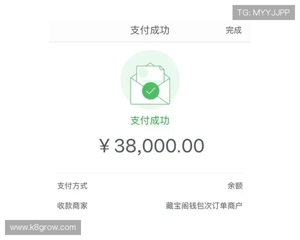 凯发九游娱乐手机娱乐支持多种支付方式方便玩家快速充值和提现