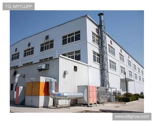 凯发正规网址安全可靠，保障玩家资金与信息安全的最佳选择