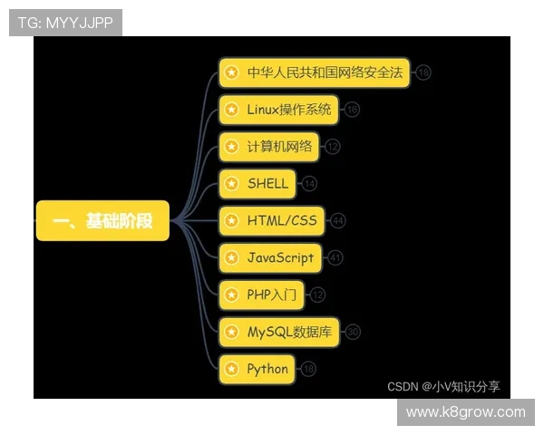 凯发手机版登录线路安全性分析及优化措施提升账户安全保障 凯发手机版登录线路安全性分析及优化措施提升账户安全保障